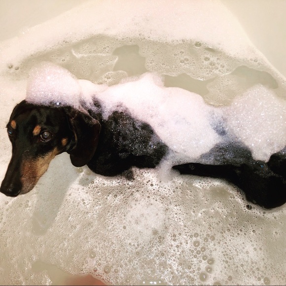 @butterfieldnine on Insta - Picture 5 of 8